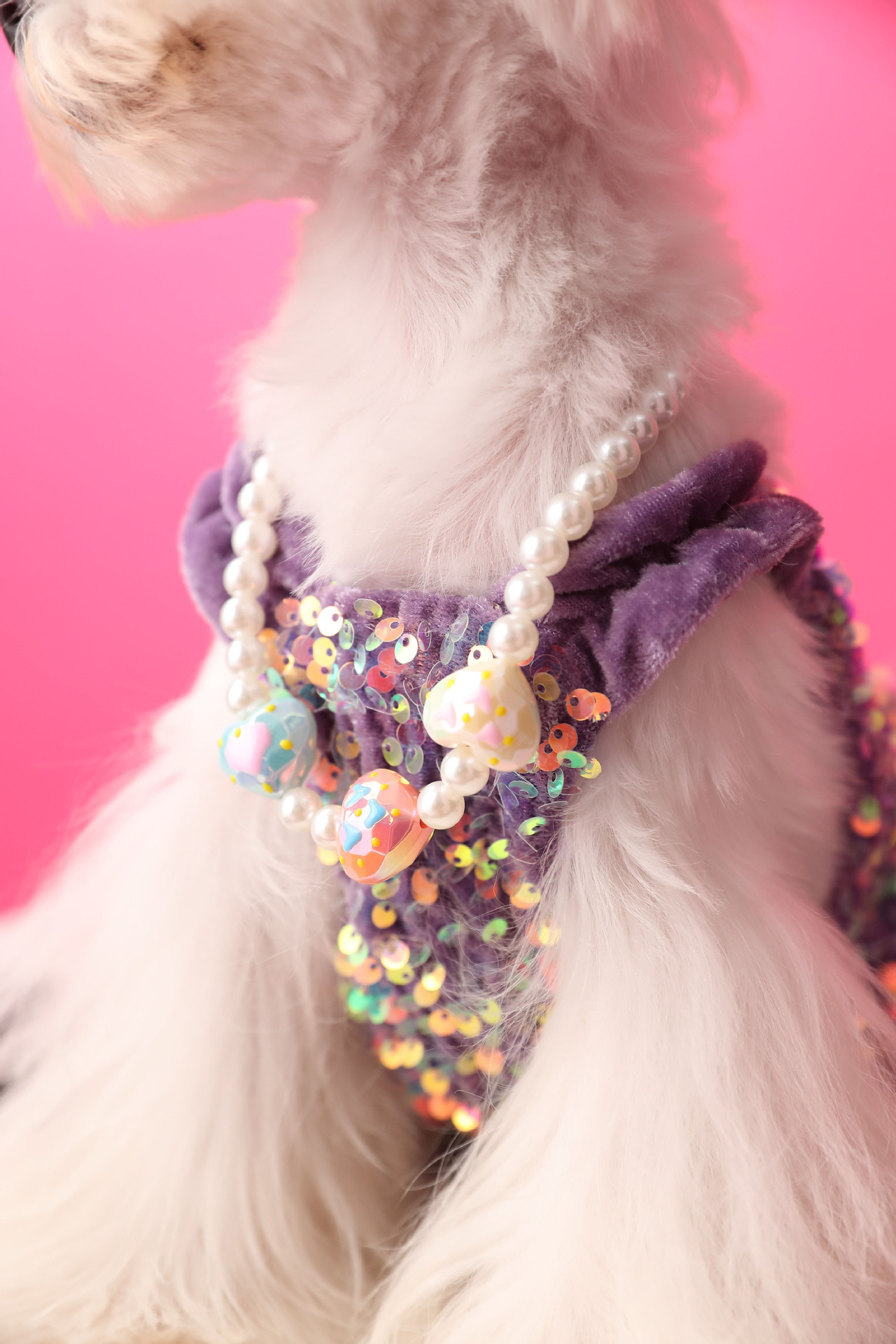 Female Dog Velvet Dress