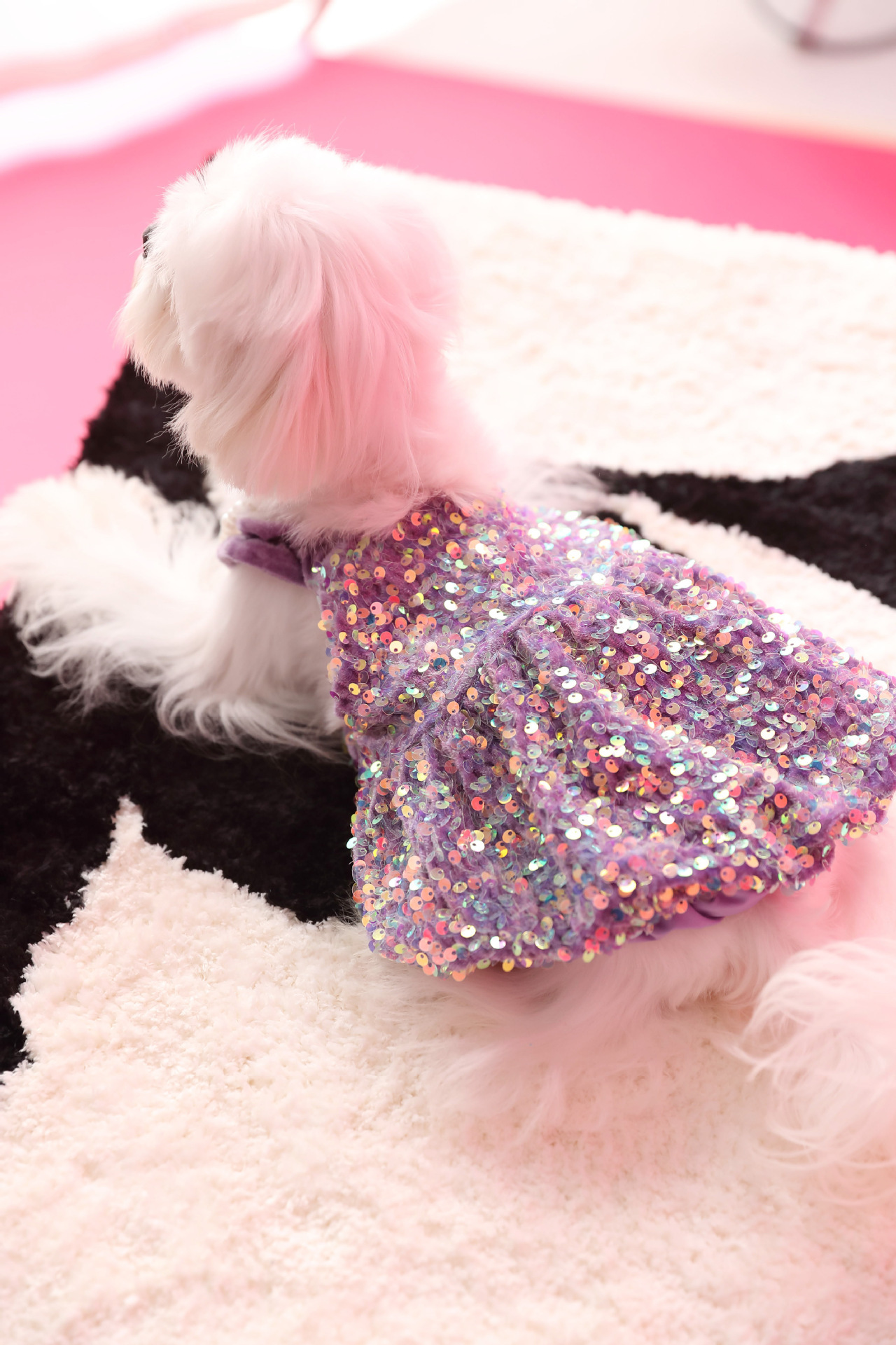 Female Dog Velvet Dress
