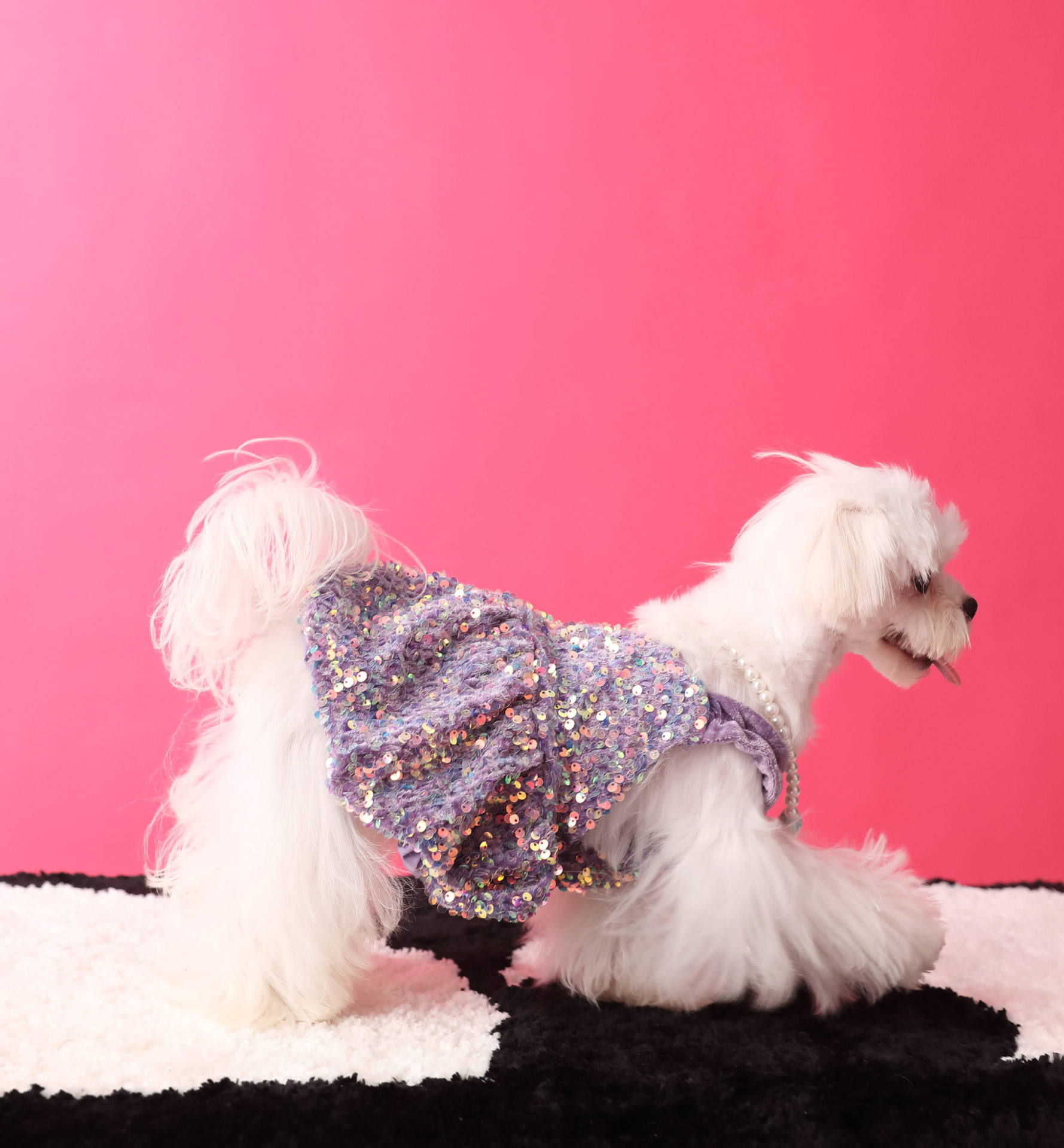 Female Dog Velvet Dress