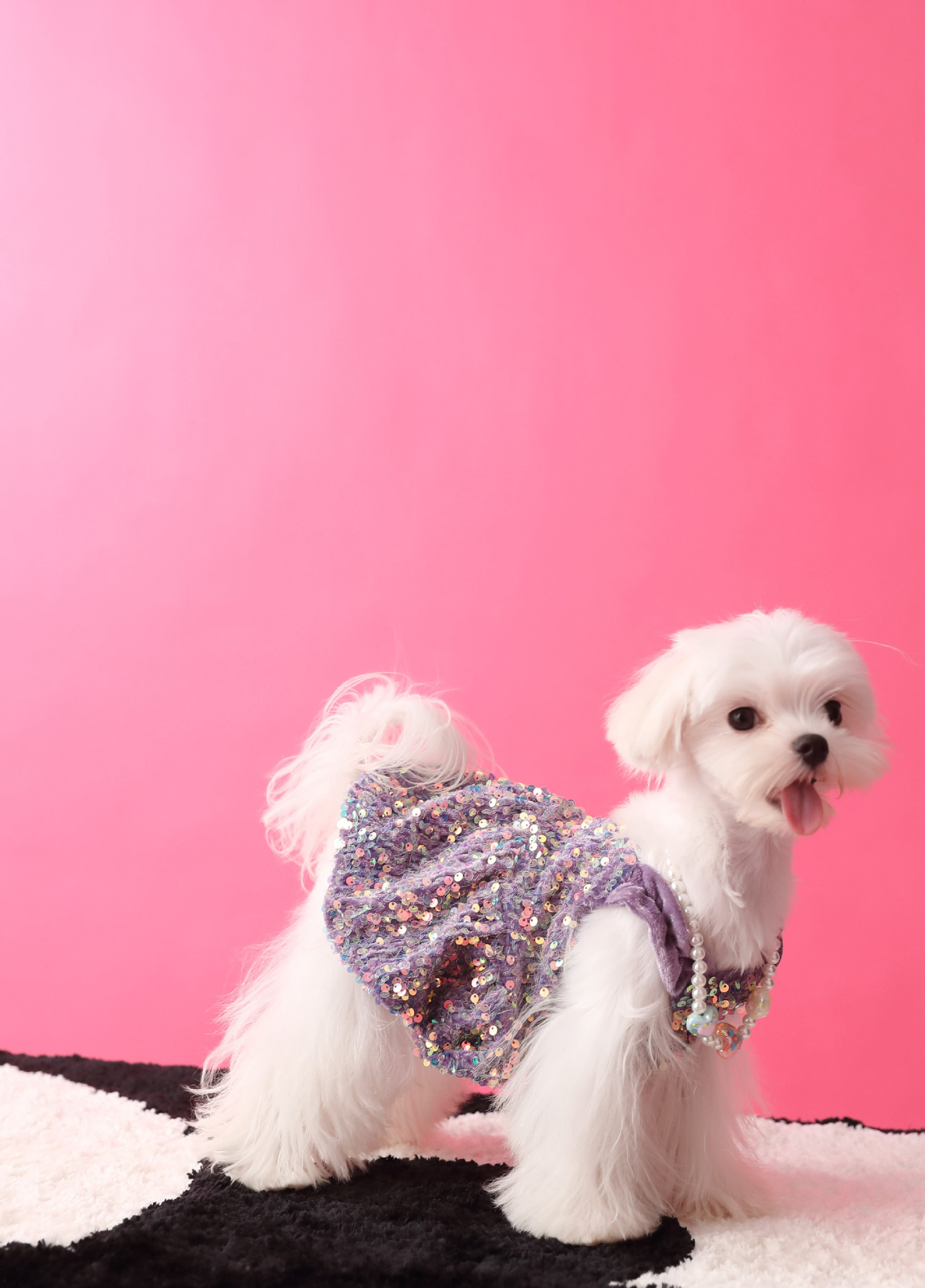 Female Dog Velvet Dress