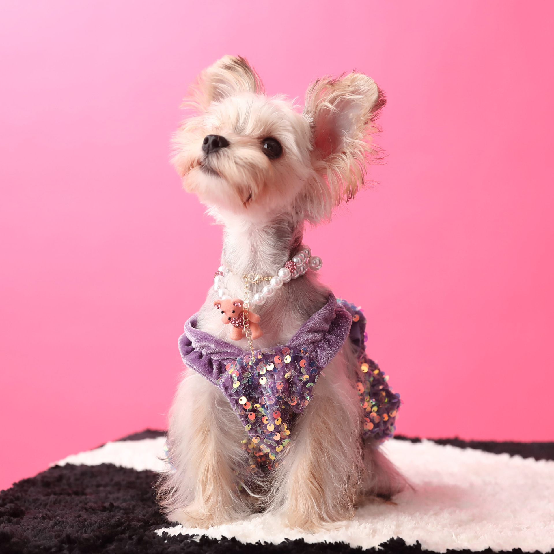 Female Dog Velvet Dress