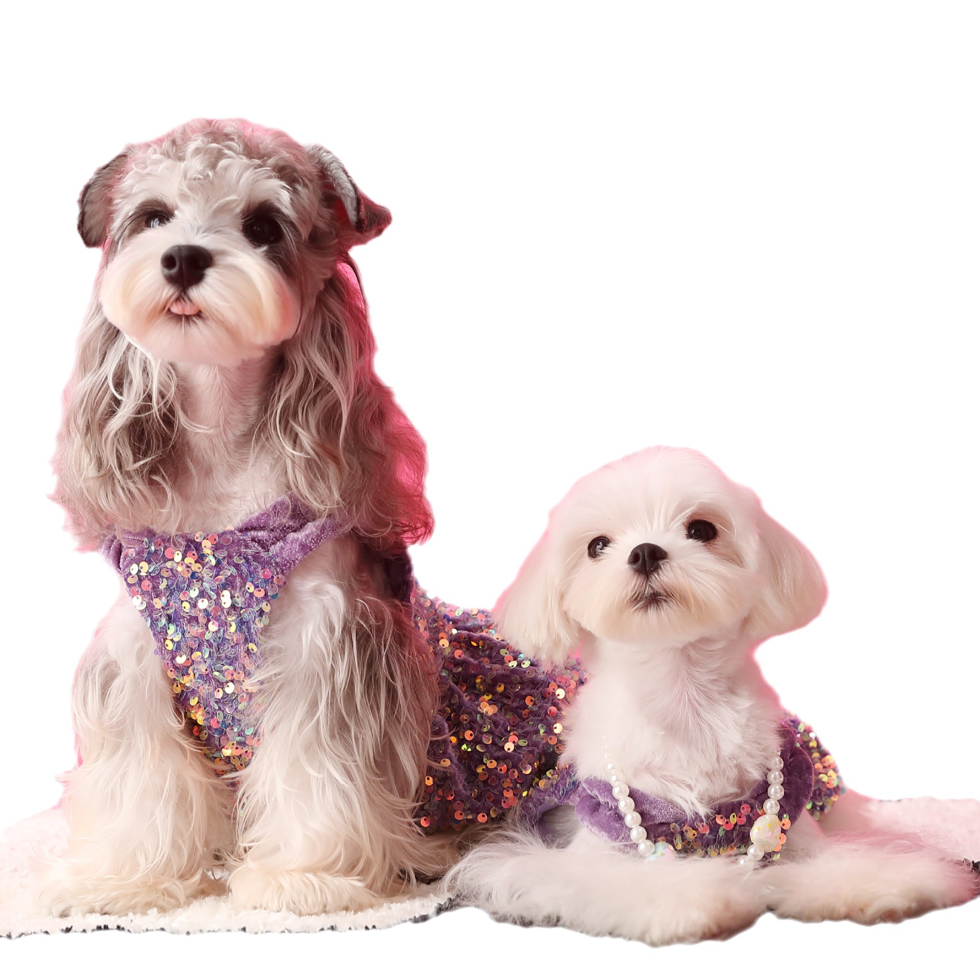 Female Dog Velvet Dress