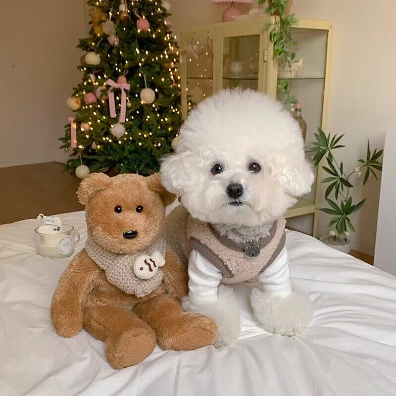 Pet Cotton Coat