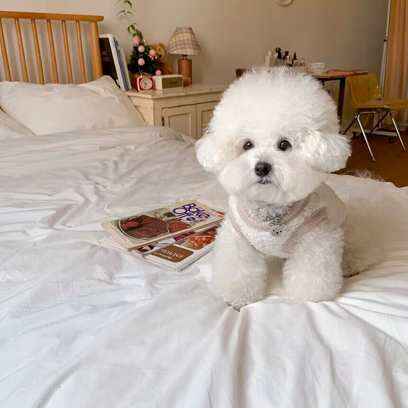 Pet Cotton Coat