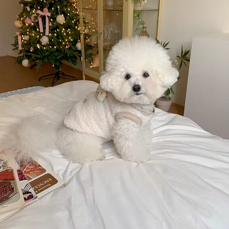 Pet Cotton Coat